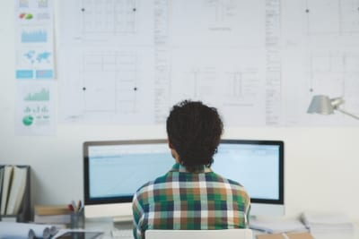 database administrator or software developer?